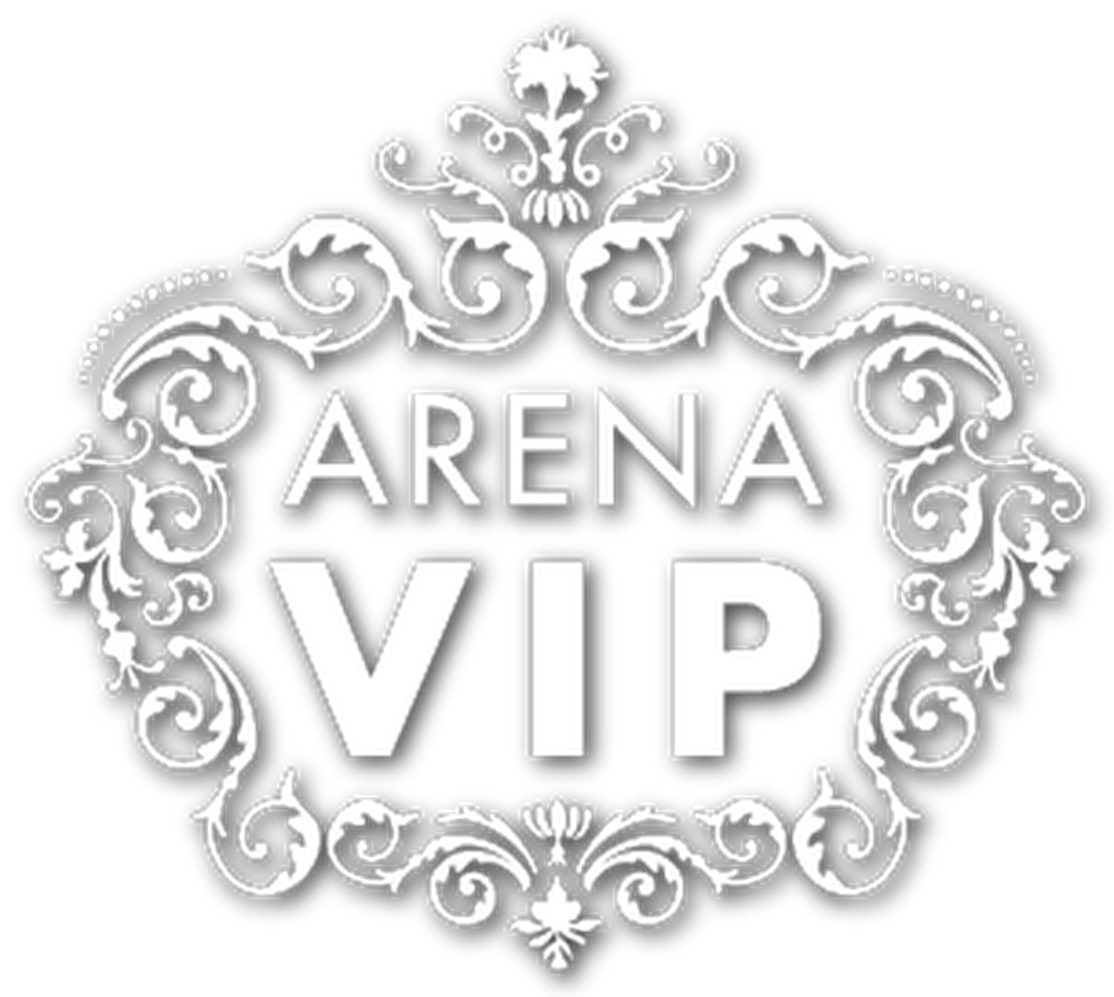 Arena VIP
