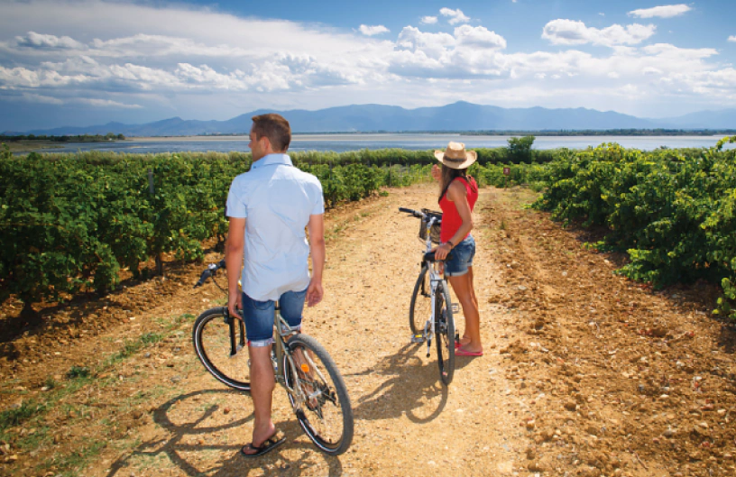 Arena Bici